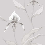 Orchid (95-10055)